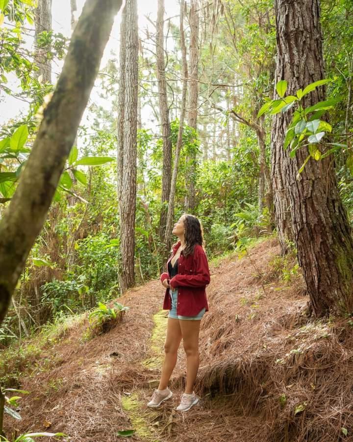 Cabañas el Bosque Turrialba Exterior foto