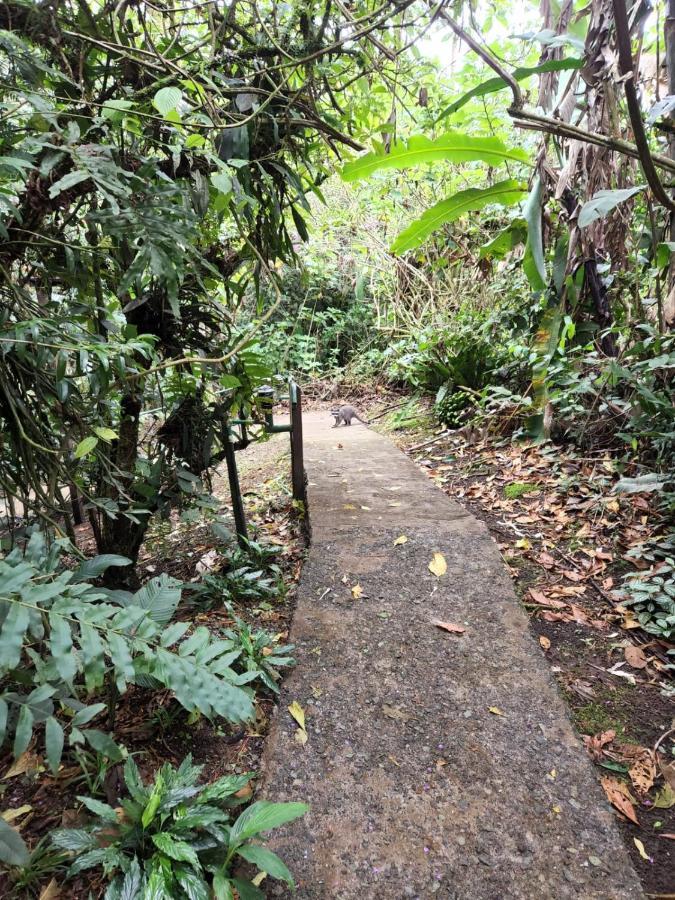 Cabañas el Bosque Turrialba Exterior foto
