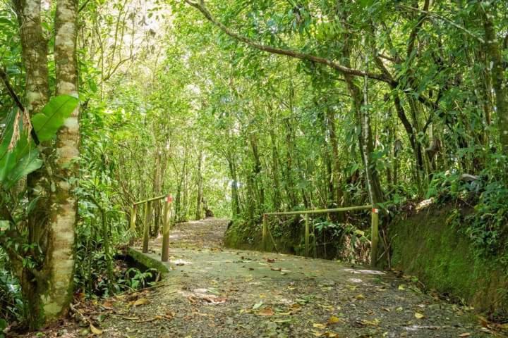 Cabañas el Bosque Turrialba Exterior foto