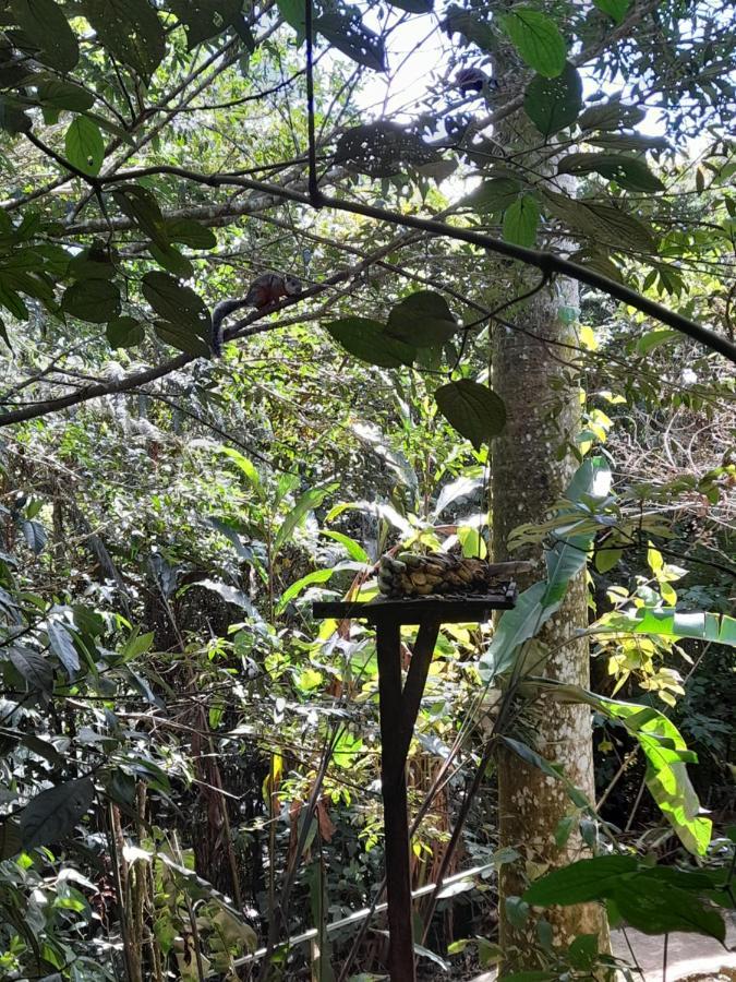 Cabañas el Bosque Turrialba Exterior foto